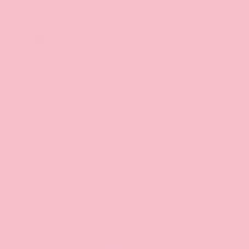 1004 AGT глянец 613 розовый